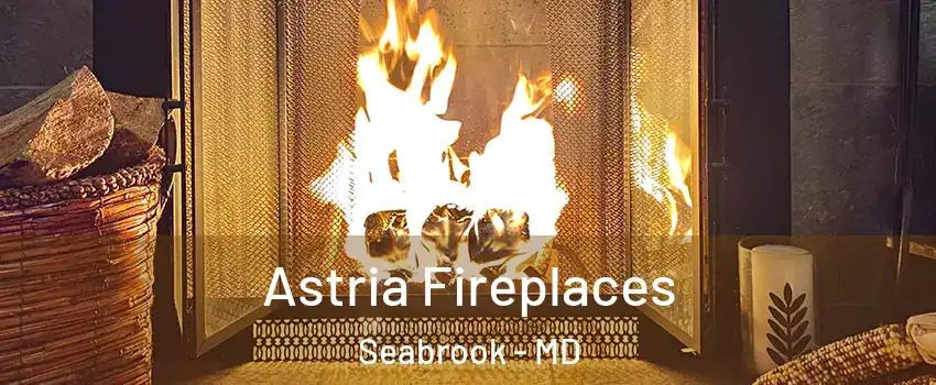 Astria Fireplaces Seabrook - MD