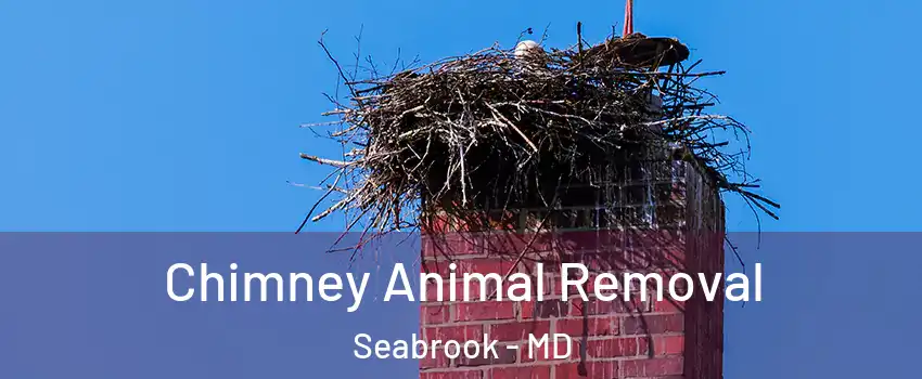 Chimney Animal Removal Seabrook - MD