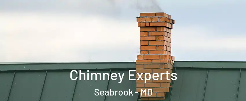 Chimney Experts Seabrook - MD