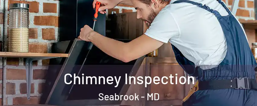  Chimney Inspection Seabrook - MD
