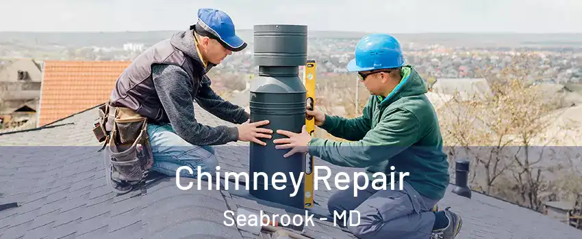  Chimney Repair Seabrook - MD