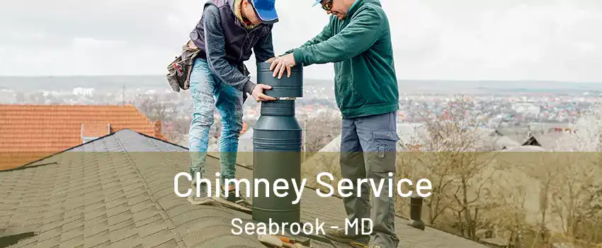 Chimney Service Seabrook - MD