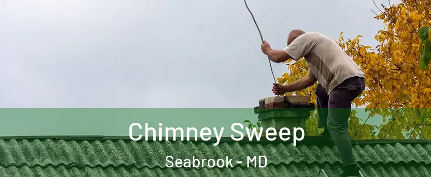  Chimney Sweep Seabrook - MD