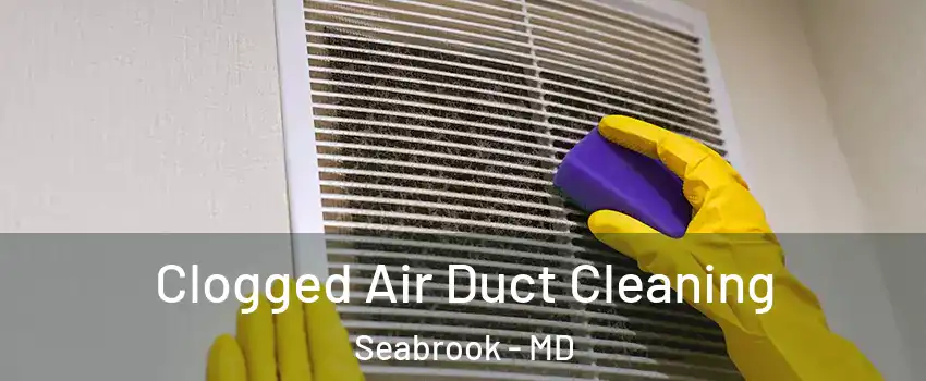  Clogged Air Duct Cleaning Seabrook - MD