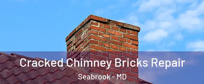  Cracked Chimney Bricks Repair Seabrook - MD