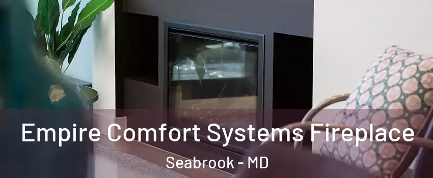  Empire Comfort Systems Fireplace Seabrook - MD