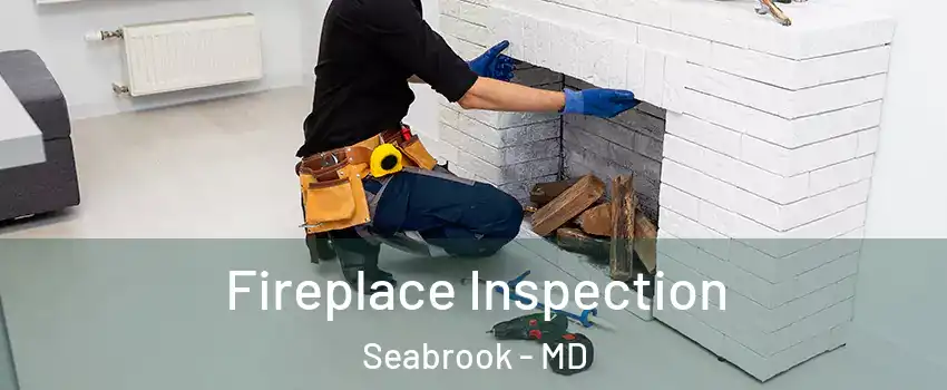  Fireplace Inspection Seabrook - MD