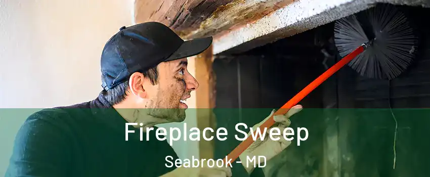  Fireplace Sweep Seabrook - MD