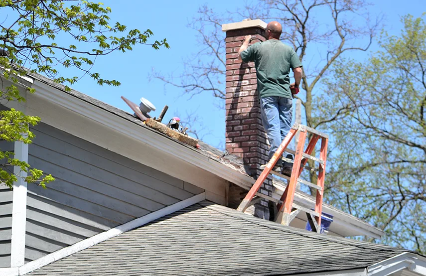 Chimney & Fireplace Inspections Services in Seabrook, MD