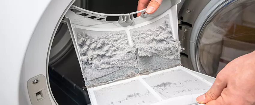 Best Dryer Lint Removal Company in Seabrook, Maryland