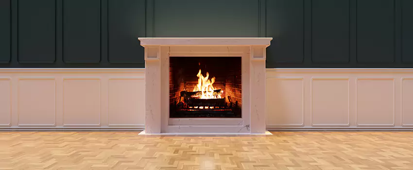 Napoleon Electric Fireplaces Inspection Service in Seabrook, Maryland