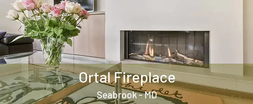 Ortal Fireplace Seabrook - MD