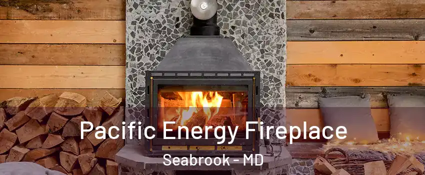  Pacific Energy Fireplace Seabrook - MD