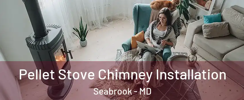  Pellet Stove Chimney Installation Seabrook - MD