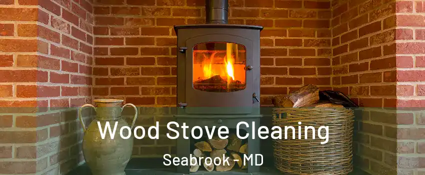  Wood Stove Cleaning Seabrook - MD